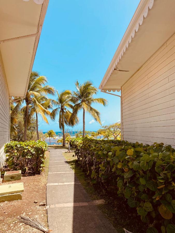Tucum Home - Appart Au Village Vacances Sainte Anne Eksteriør bilde